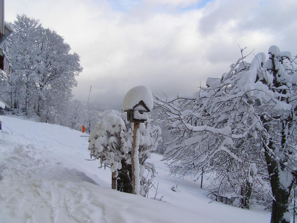 U Novotnych Hotel Spindleruv Mlyn Exterior photo