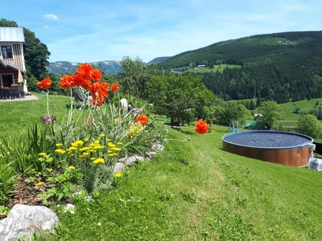 U Novotnych Hotel Spindleruv Mlyn Exterior photo